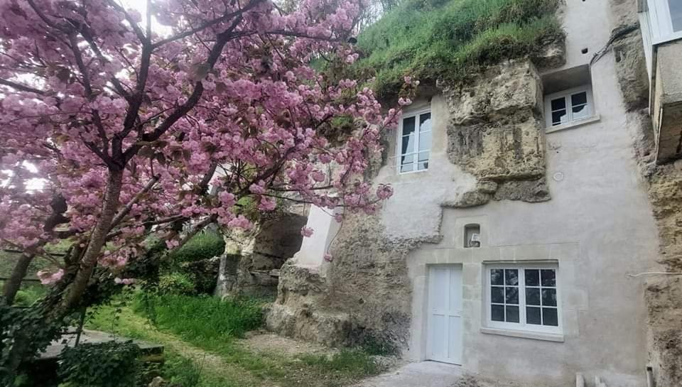 Troglo Entre Caves Et Chateaux Montlouis-sur-Loire Exterior photo